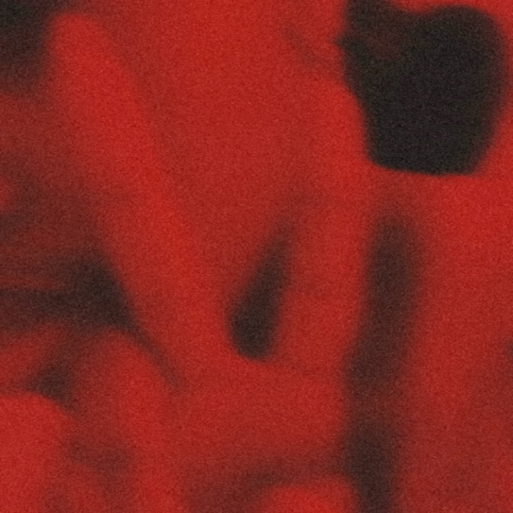 Meet your Posher, Taniah